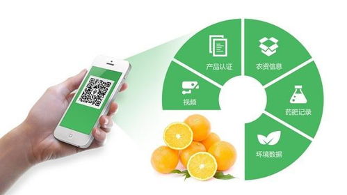 家樂福已經開始行動,區塊鏈的時代真的來了